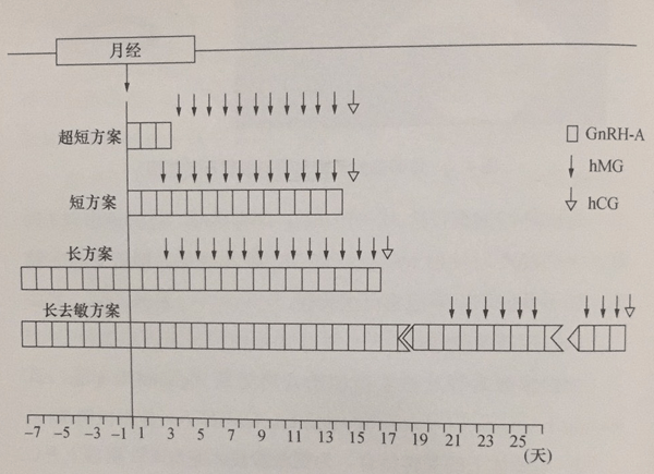 移植方案是根据孕妈本身情况确定的